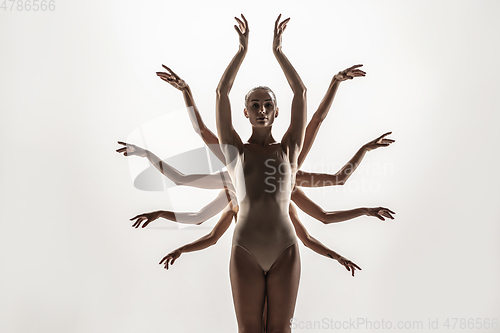 Image of The group of modern ballet dancers. Contemporary art ballet. Young flexible athletic men and women.