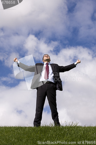 Image of Businessman enjoying nature