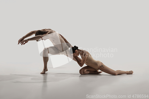 Image of The group of modern ballet dancers. Contemporary art ballet. Young flexible athletic men and women.