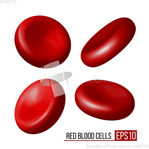 Image of Red blood cells. Set of erythrocytes in various positions isolated on a white background.