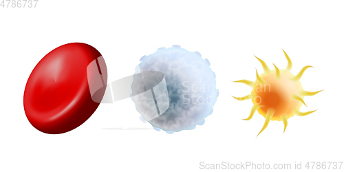 Image of Main blood cells in scale - erythrocyte, thrombocyte and leukocyte. Red blood cell, white blood cell and platelet