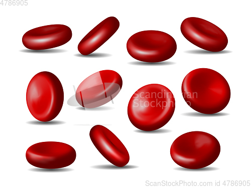 Image of Red blood cells. Set of erythrocytes in various positions isolated on a white background.