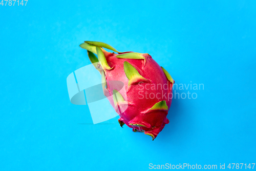 Image of ripe dragon fruit or pitaya on blue background