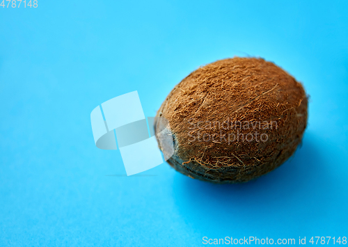Image of close up of ripe coconut on blue background