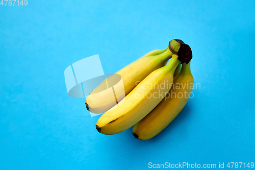 Image of close up of ripe banana bunch on blue background