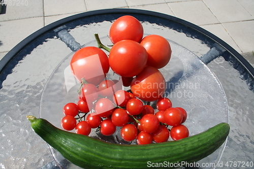 Image of Tomatoes and cucumber