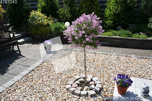 Image of Garden view