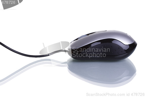 Image of mouse isolated 