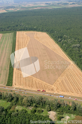 Image of Golden Wheat field, Aerial View