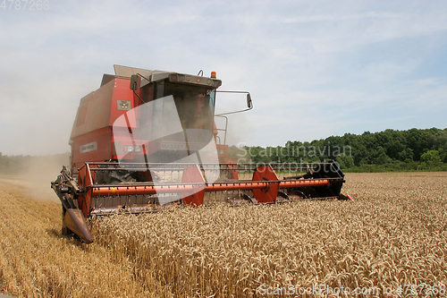 Image of Combine harvesting wheat