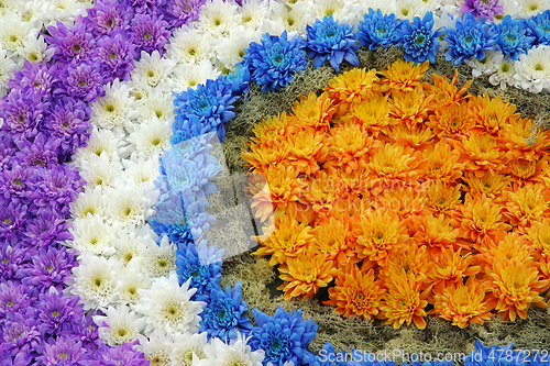 Image of Flowers