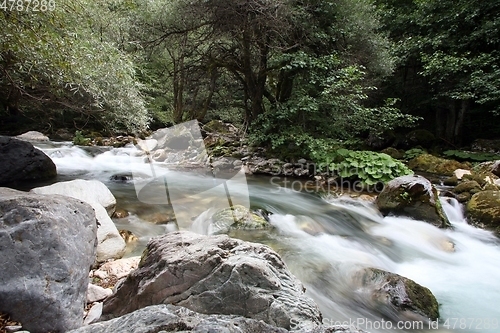 Image of Crni Drim River in Macedonia