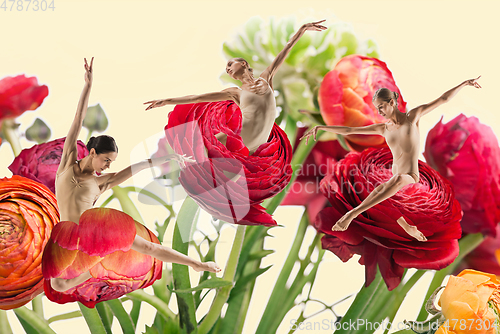 Image of The group of modern ballet dancers. Contemporary art ballet