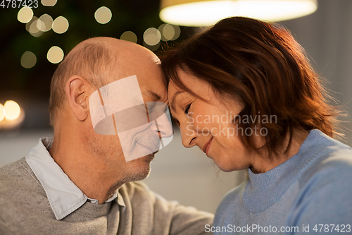 Image of happy smiling senior couple at home