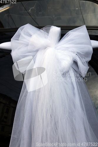 Image of Wedding car, decoration bow white ribbon 