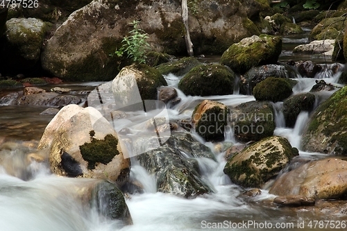 Image of Crni Drim River in Macedonia