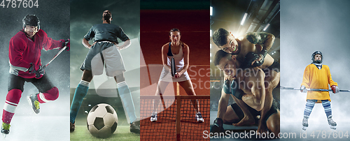 Image of Collage of different professional sportsmen, fit people in actio