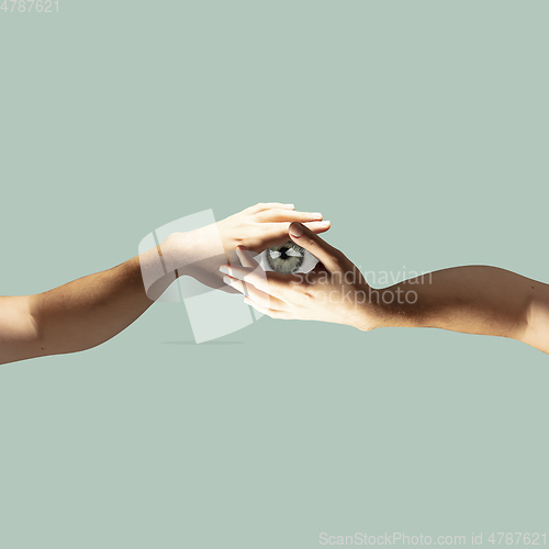 Image of Modern design, contemporary art collage. Inspiration, idea, trendy urban magazine style. Two hands holding eye pupil on pastel green background.