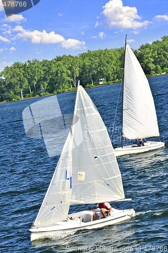 Image of Small sailboats