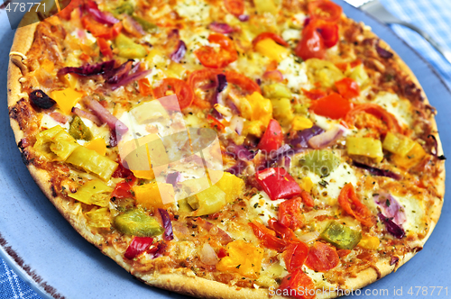 Image of Vegetarian pizza