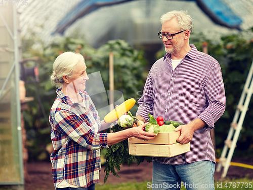 Image of senior couple with box of cucumbers on farm