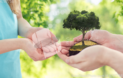 Image of close up of father's and girl's hands holding tree