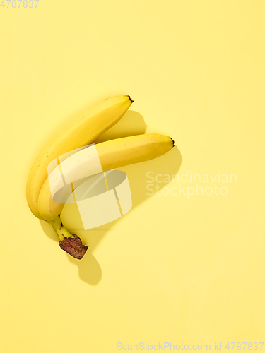 Image of fresh yellow bananas