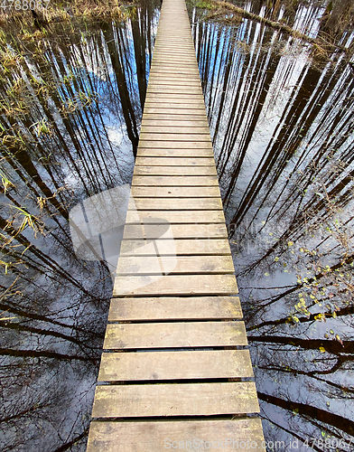 Image of wooden footbridge through the lake nature trail