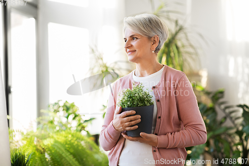 Image of happy senior woman with flower in pot at home