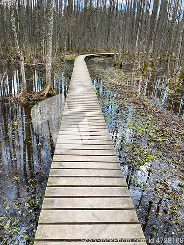 Image of wooden footbridge through the lake nature trail