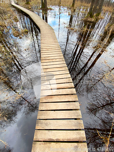 Image of wooden footbridge through the lake nature trail