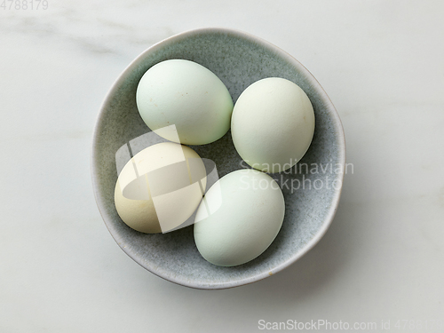 Image of bowl of fresh raw bio eggs