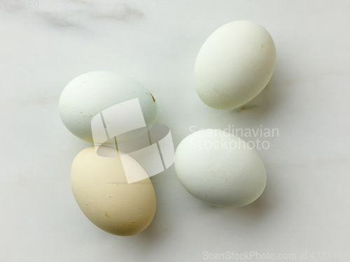 Image of fresh raw bio eggs