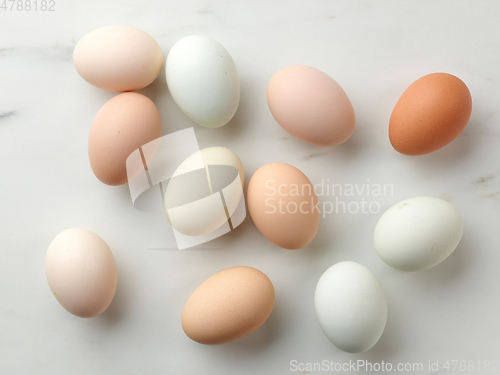 Image of fresh raw bio eggs