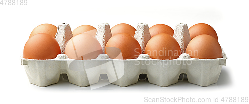 Image of brown chicken eggs