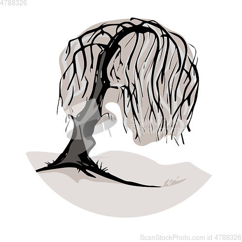 Image of A weeping willow tree symbol