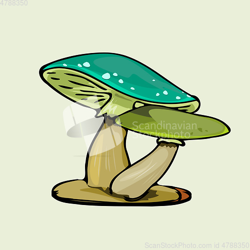 Image of green color mushroom