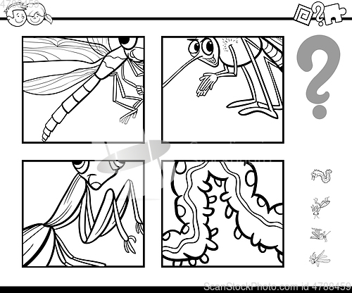 Image of guess insects coloring page