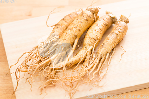 Image of Fresh ginseng