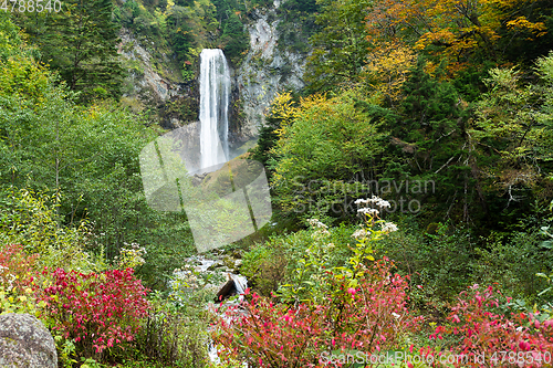 Image of Waterfall