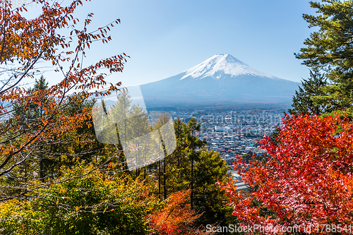 Image of Mountain Fuji and maple in Autumn season