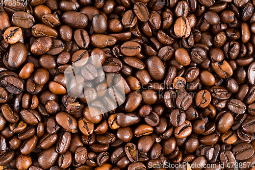 Image of Coffee bean background