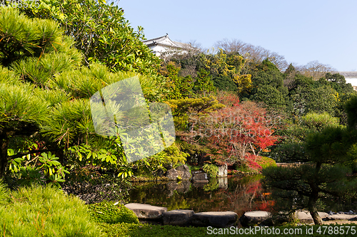 Image of Japanese garden with red maple
