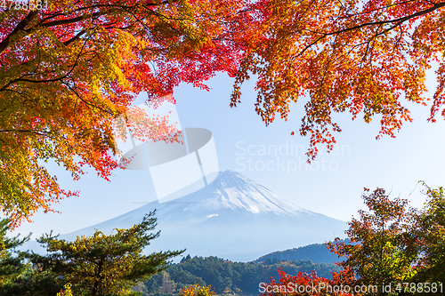 Image of Mt.Fuji in autumn at Lake kawaguchiko