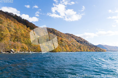 Image of Lake towada at autumn season