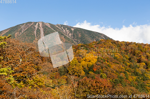 Image of Autumn in Mount Nantai in Nikko