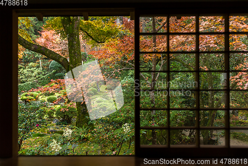 Image of Japanese architecture in autumn