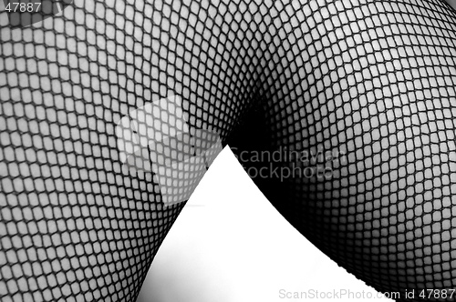 Image of Leg in black and white