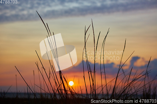 Image of Sunset over the sea of Azov