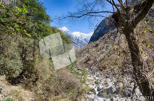 Image of Nepal trekking in Langtang valley